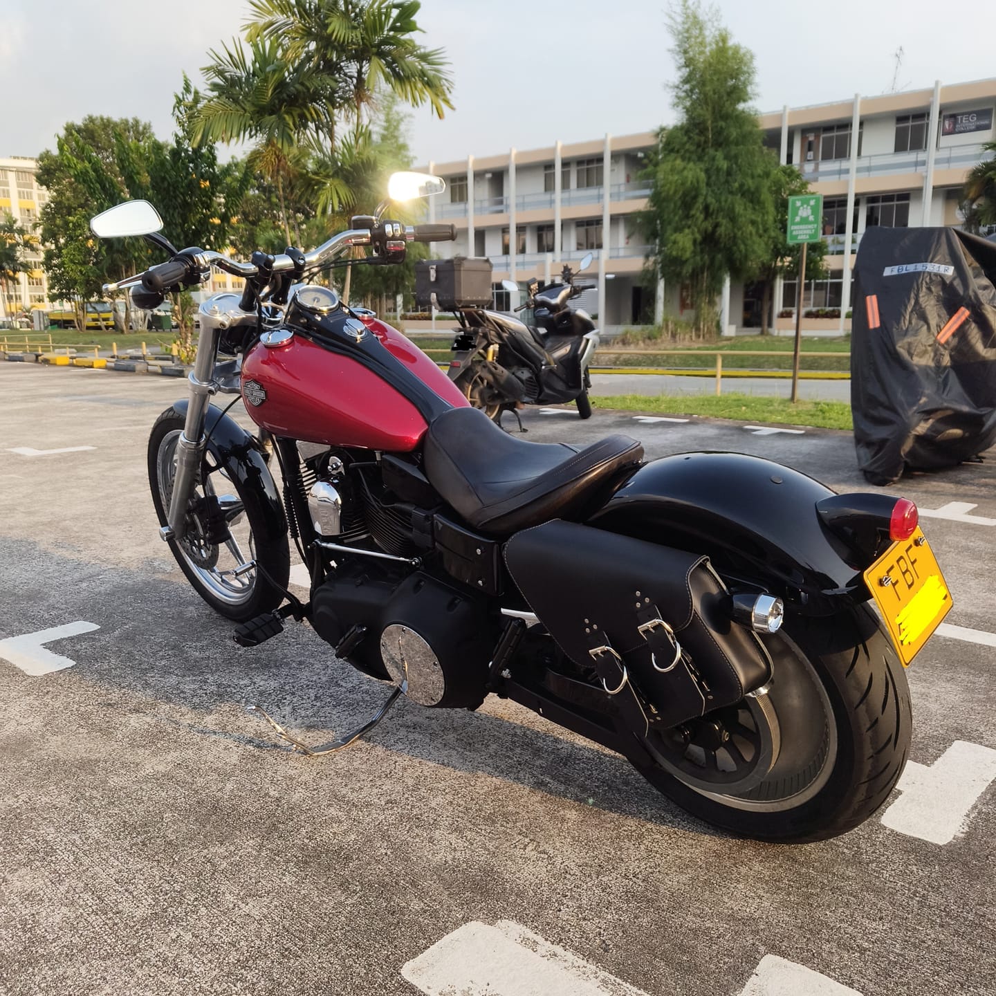 Customer photo review of Harley Dyna Solo Bag - Left Side (Model DL02)