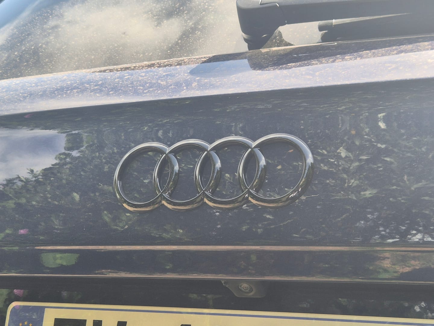 Customer photo review of Logo / Badge Audi Noir Avant / Arrière
