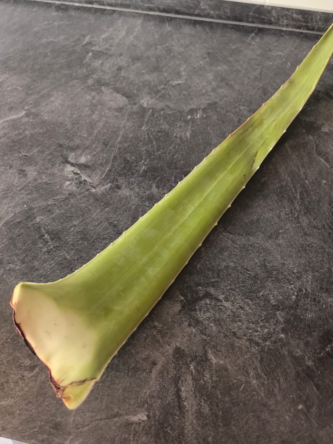 Customer photo review of Aloe Vera frisch Bio