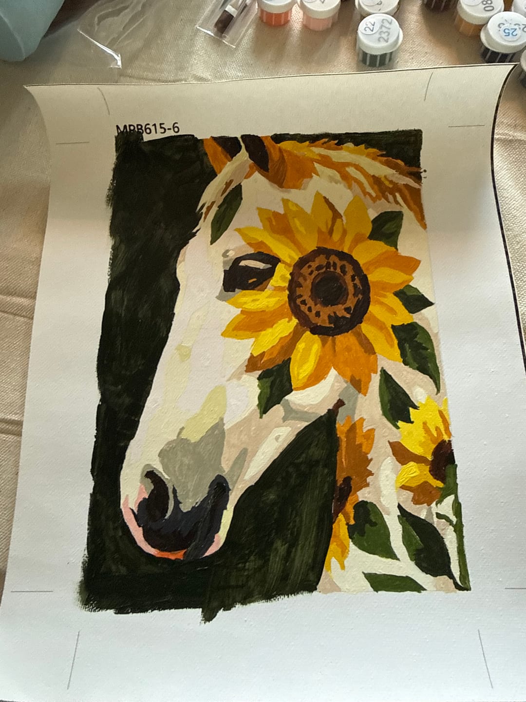 Customer photo review of 6 Mini Paintings - Flower Horses Set