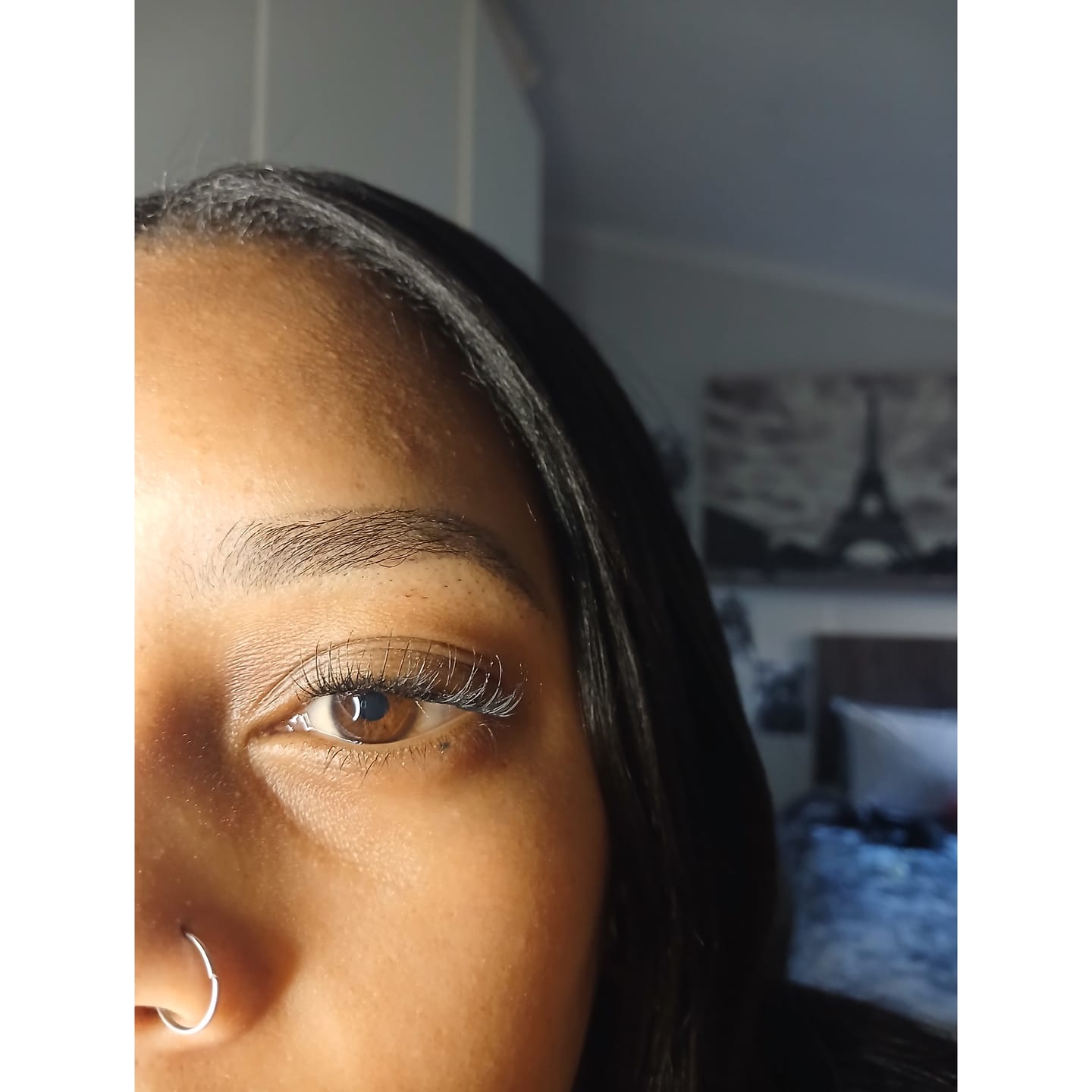 Customer photo review of Venus Bloom Lash Kit
