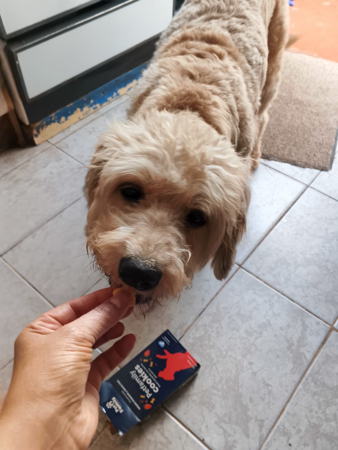 Customer photo review of PetFamily Cookies