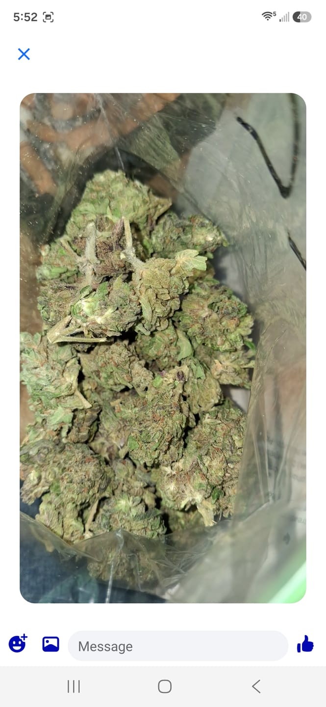 Customer photo review of Fire OG - Bulk - Indica