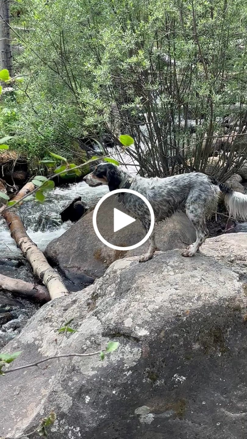 Customer video review of Roam 350™ Waterproof - Collar Only -  WARRANTY (No Strap Included)