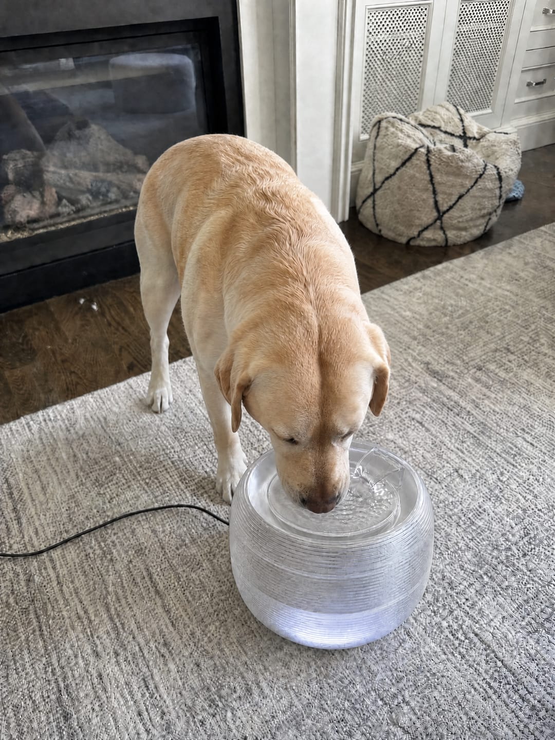 Customer photo review of Smart Water Fountain