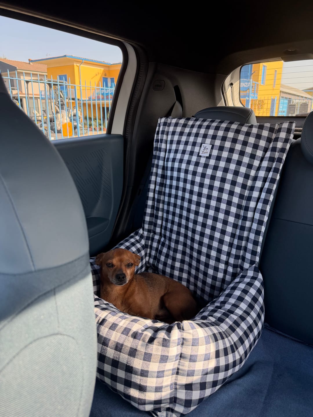 Customer photo review of Seggiolino Auto Cotone Quadretto Navy