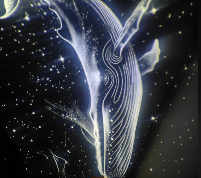 Customer photo review of Glowyll Galaxie Projektor