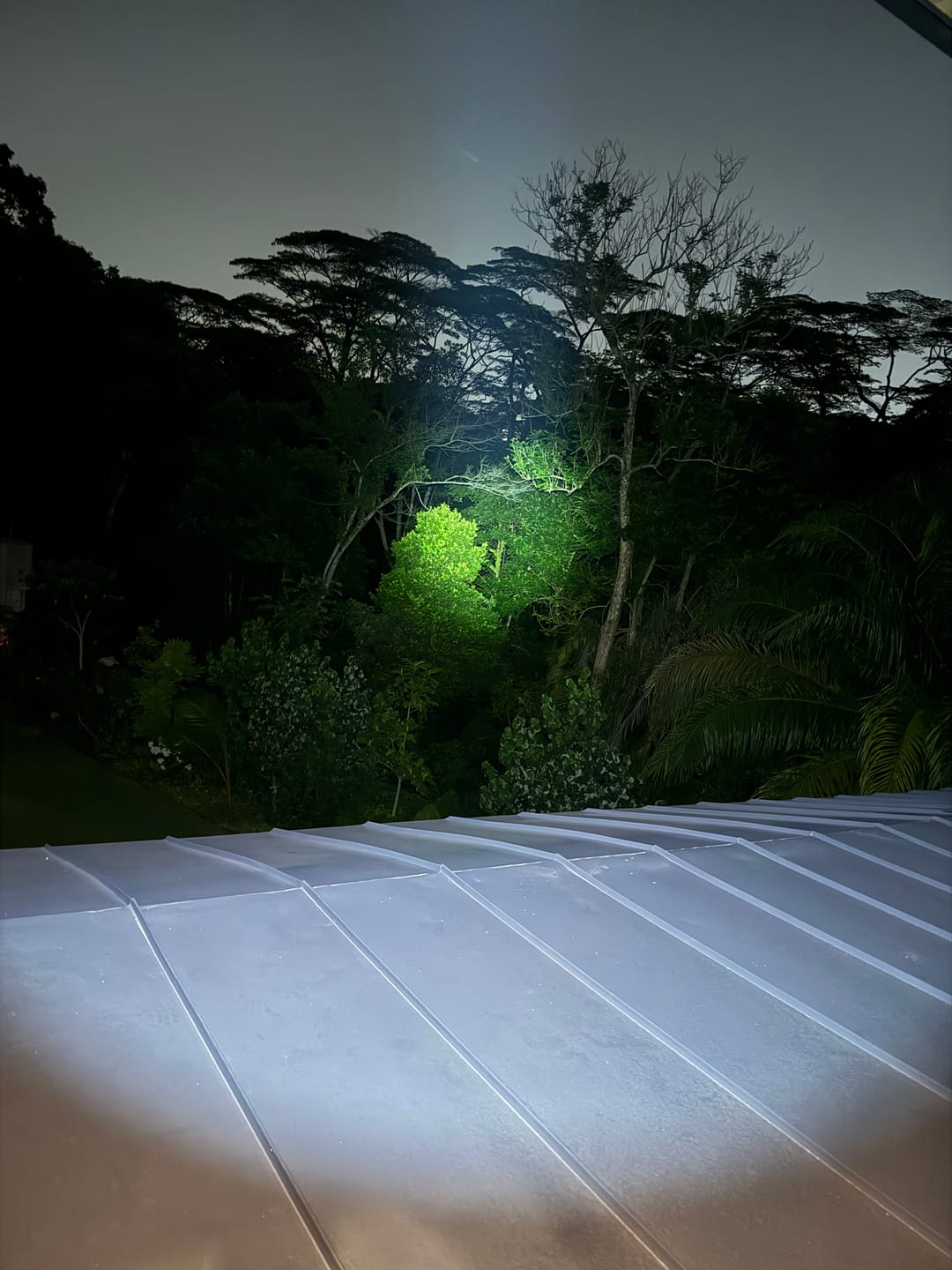 Customer photo review of MH12 PRO - 3300 lumens