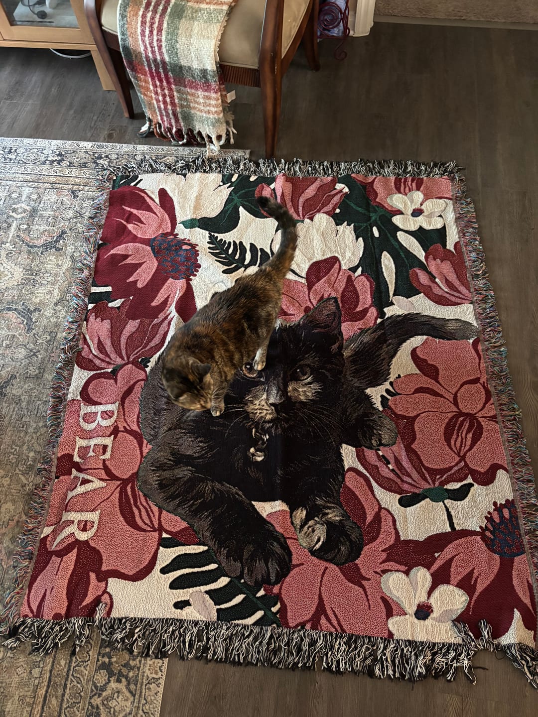 Customer photo review of Heirloom Pet Throw Blanket - Cream Floral