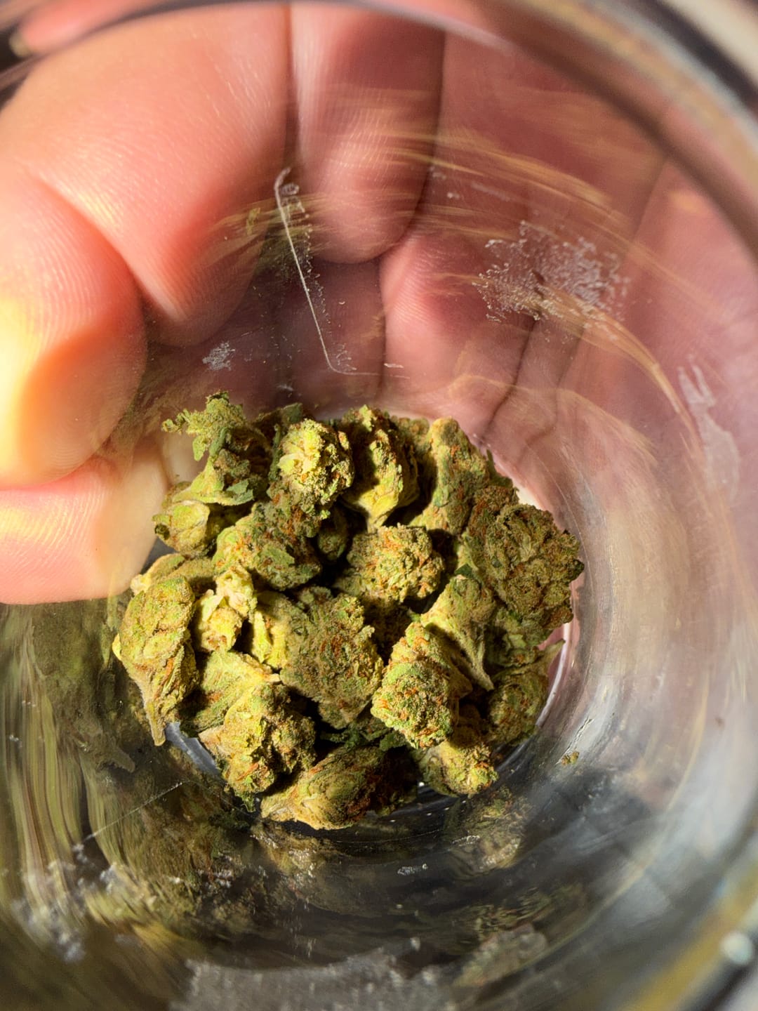 Customer photo review of Maui Wowie - Minis - 28 Grams - Sativa