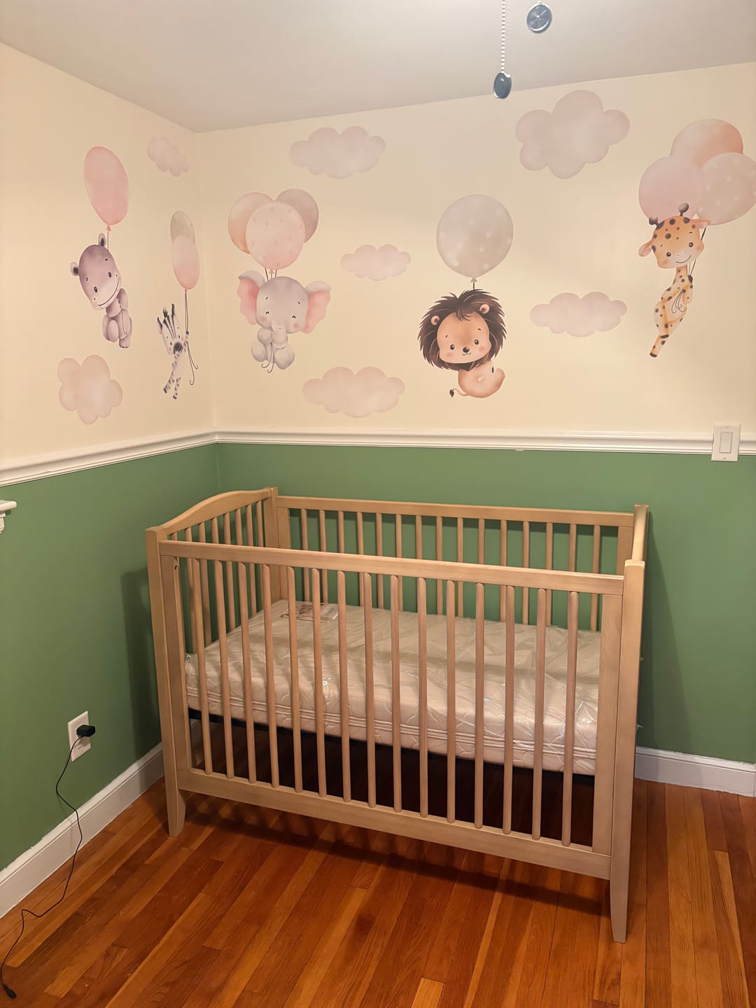 Customer photo review of Safari Animals with Balloons Wall Decals