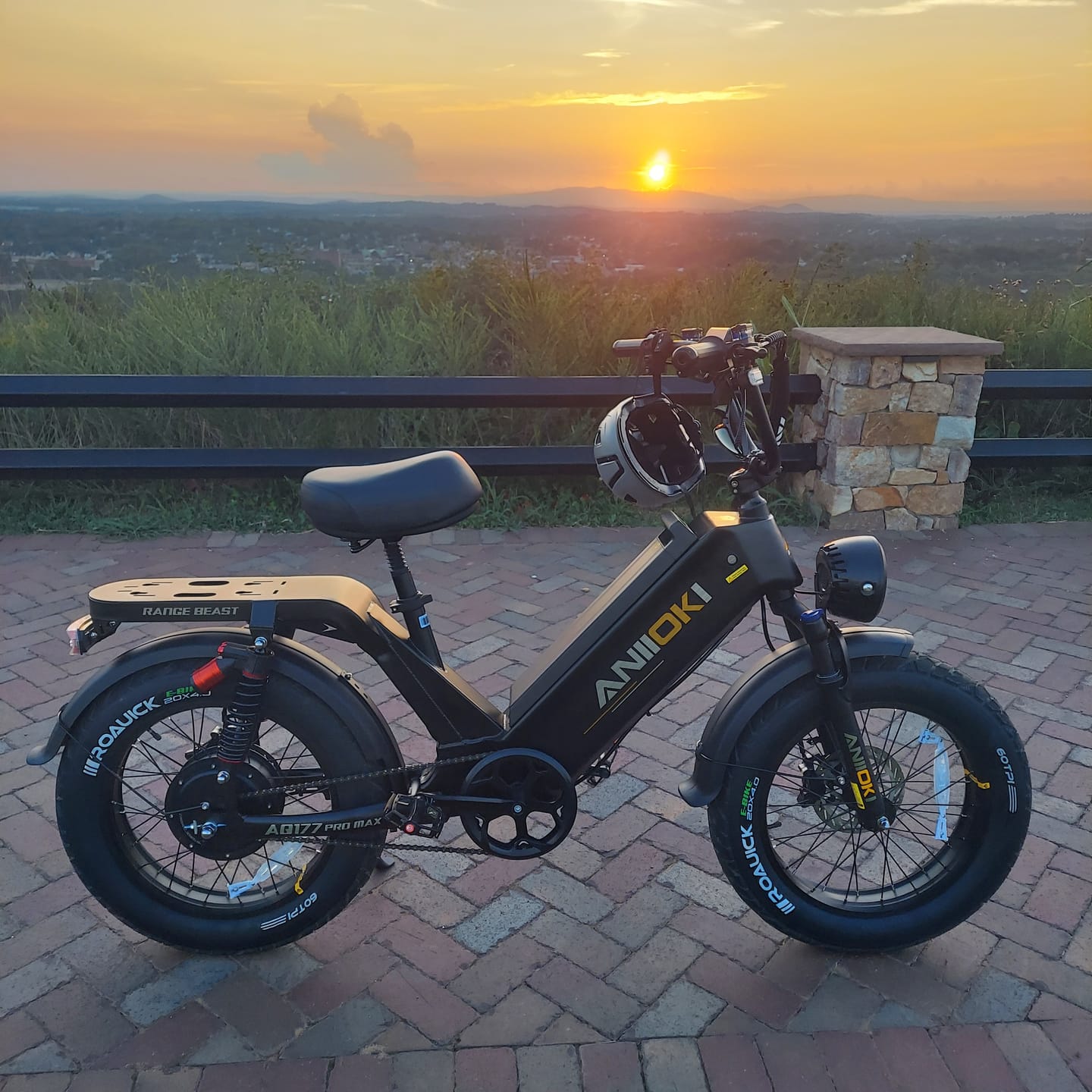 Customer photo review of AQ177 Pro Max eBike