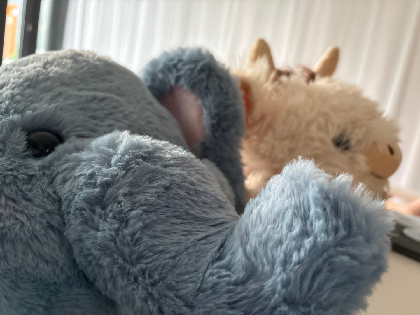 Customer photo review of MeWaii®  Elephant Weighted Stuffed Animal