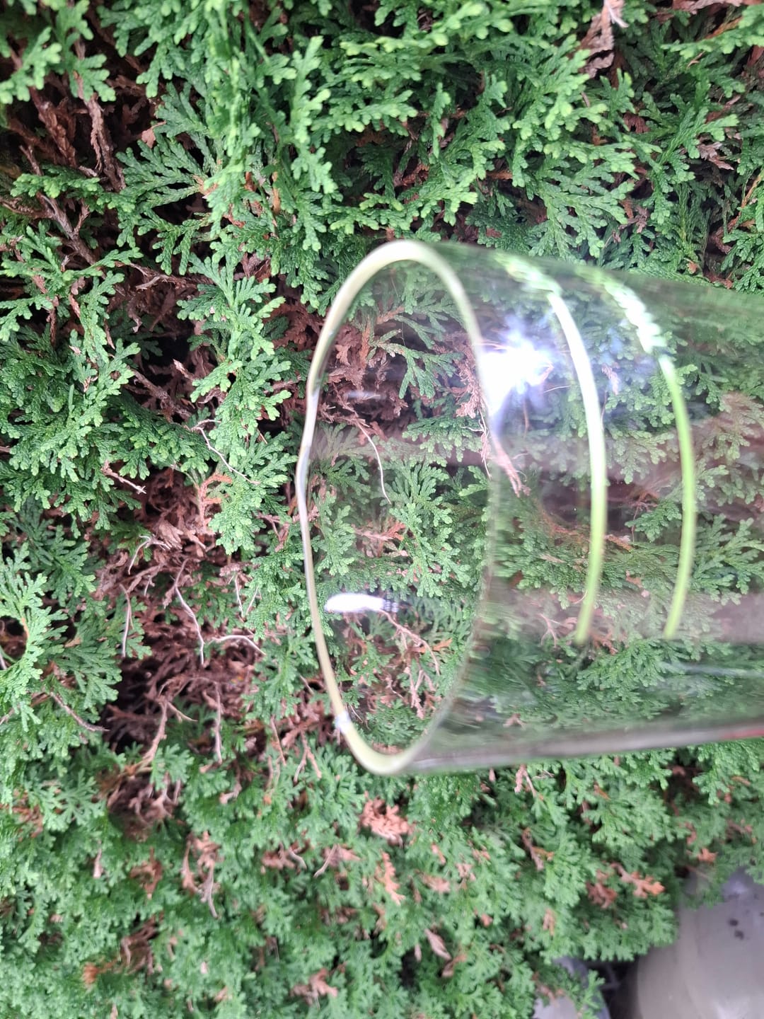 Customer photo review of JuiceBox™ Glastrinkflasche