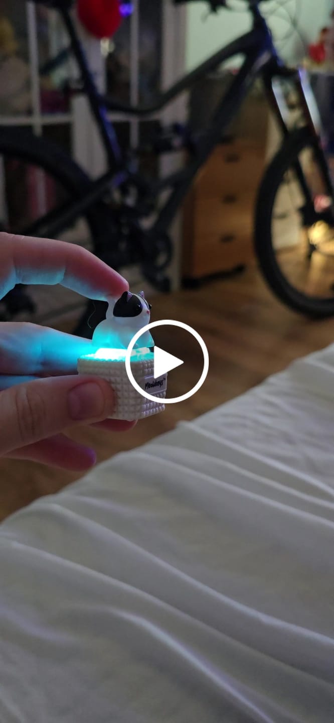 Customer video review of Meowkey - Fidget Toy that Meows!