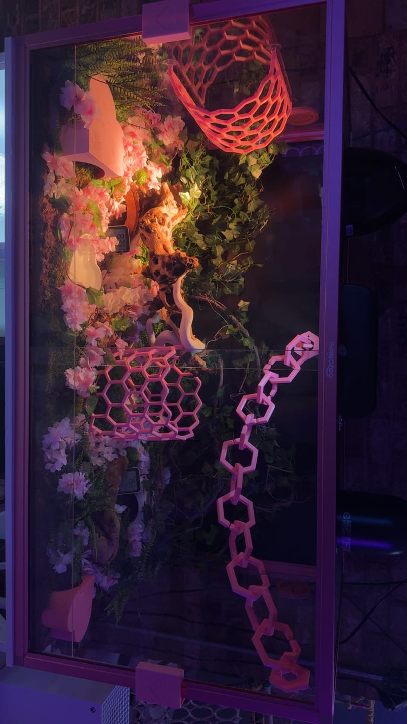Customer photo review of 120 Gallon Bearded Dragon Enclosure 4x2x2