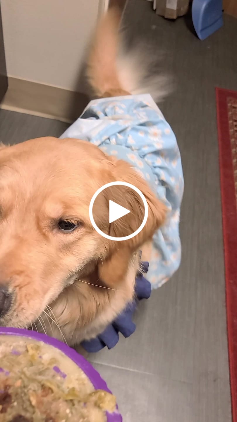 Customer video review of FreezSwirl - Durable Stimulation Toy