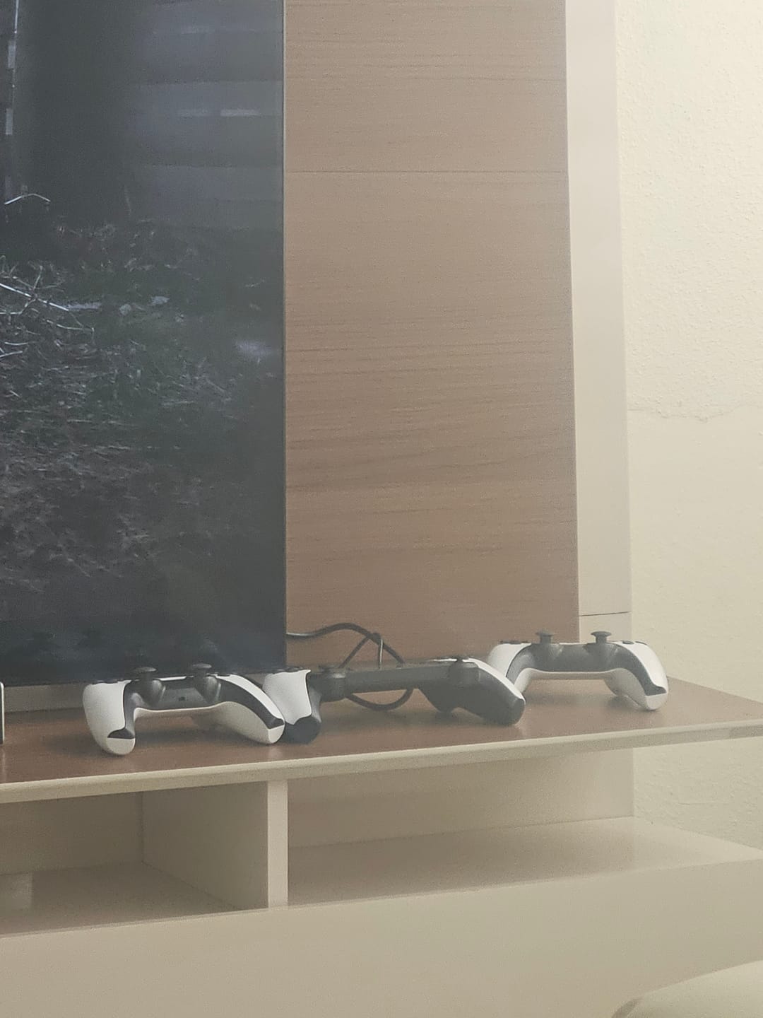 Customer photo review of Consola 2 en 1