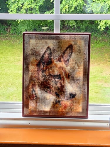 Customer photo review of Custom AI Pet Portrait Diamond Painting Kit