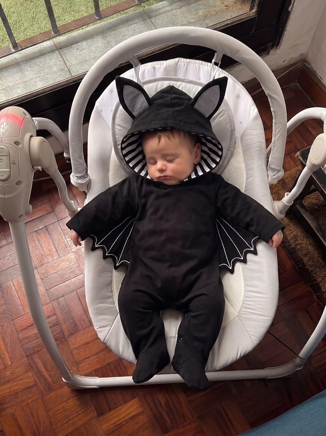 Customer photo review of Baby Bat Costume