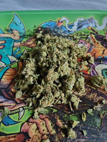 Cherry Abacus™ – Feminized CBD Seeds photo review