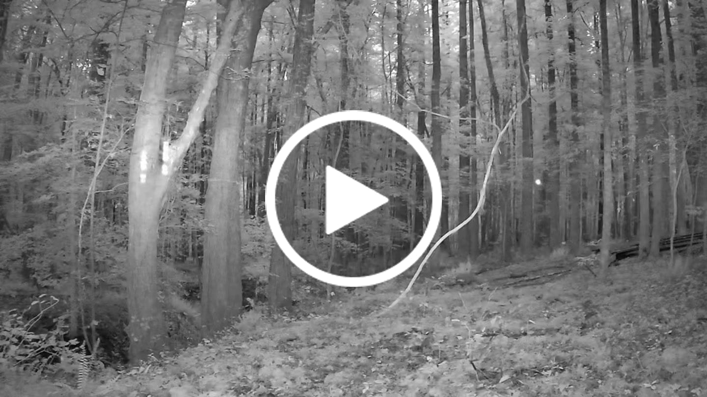 Customer video review of GardePro X66 Pro Cellular Trail Camera