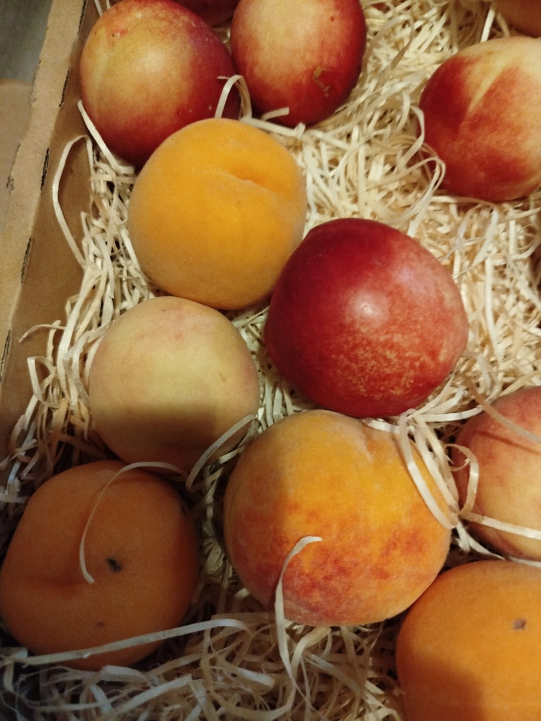 Customer photo review of Pfirsich-Mix Bio von Nicolas 3kg Box