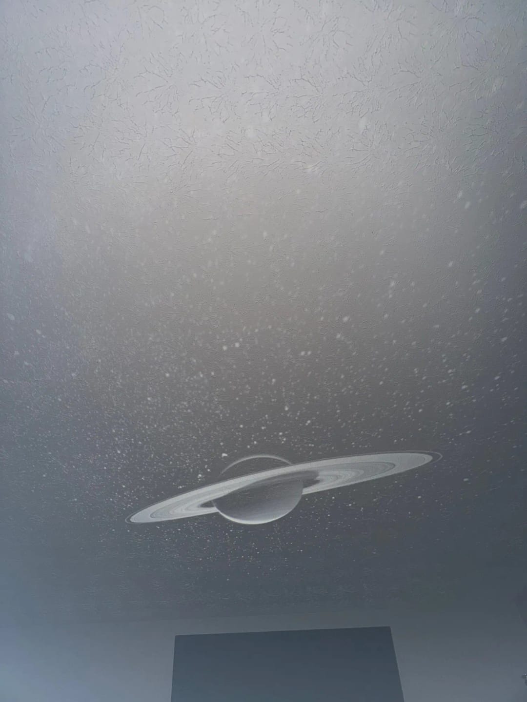 Customer photo review of Starry Sky Projector