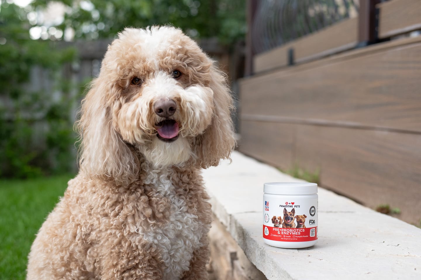 Customer photo review of Pre+Probiotics for Dogs Digestive Health – 120 Soft Chews (Beef Flavor)