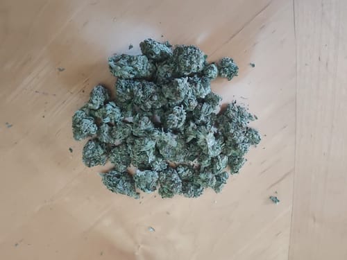 Godfather OG - 28 Gramm - Indica photo review