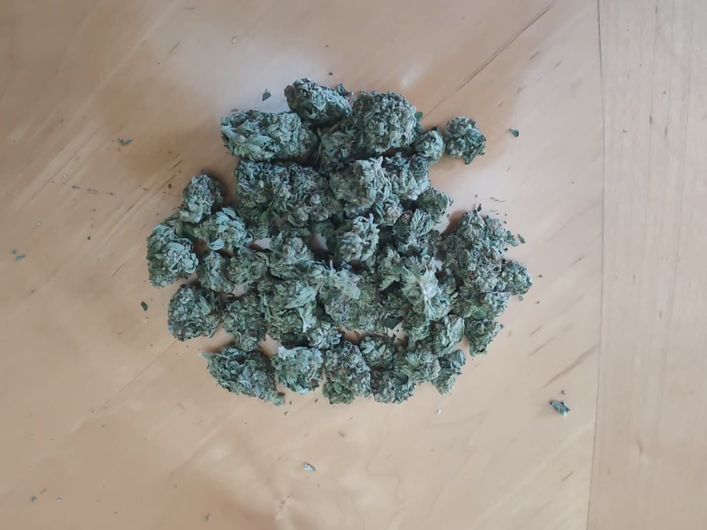 Customer photo review of Godfather OG - 28 Grams - Indica