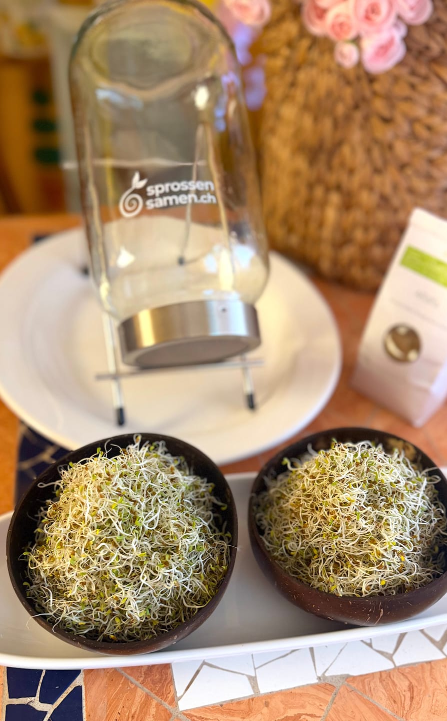 Customer photo review of Rosenklee Bio Sprossensamen 250g