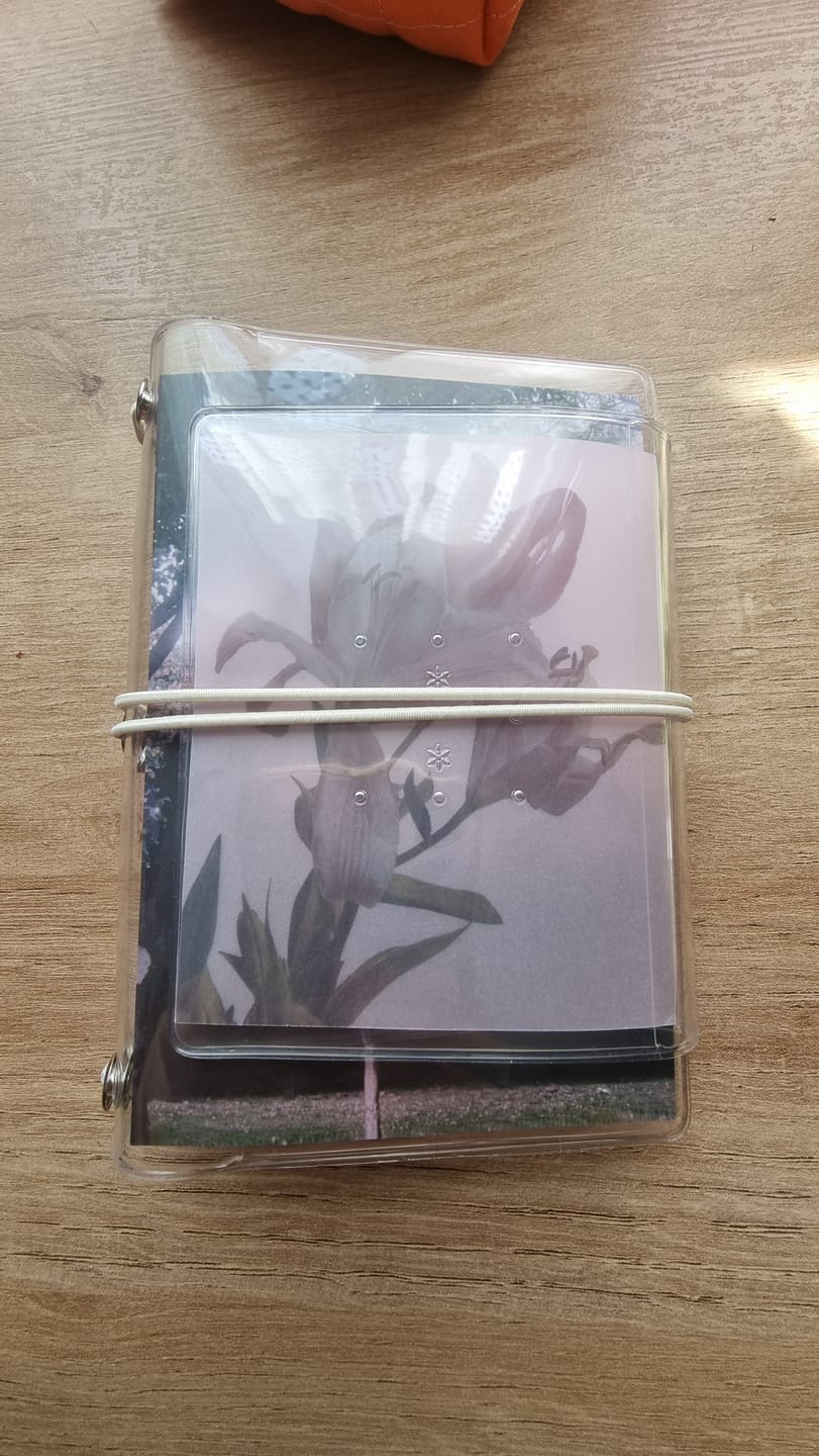 Customer photo review of Clear Bloom
