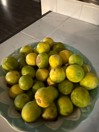 Customer photo review of Organic Key Limes 3 lbs