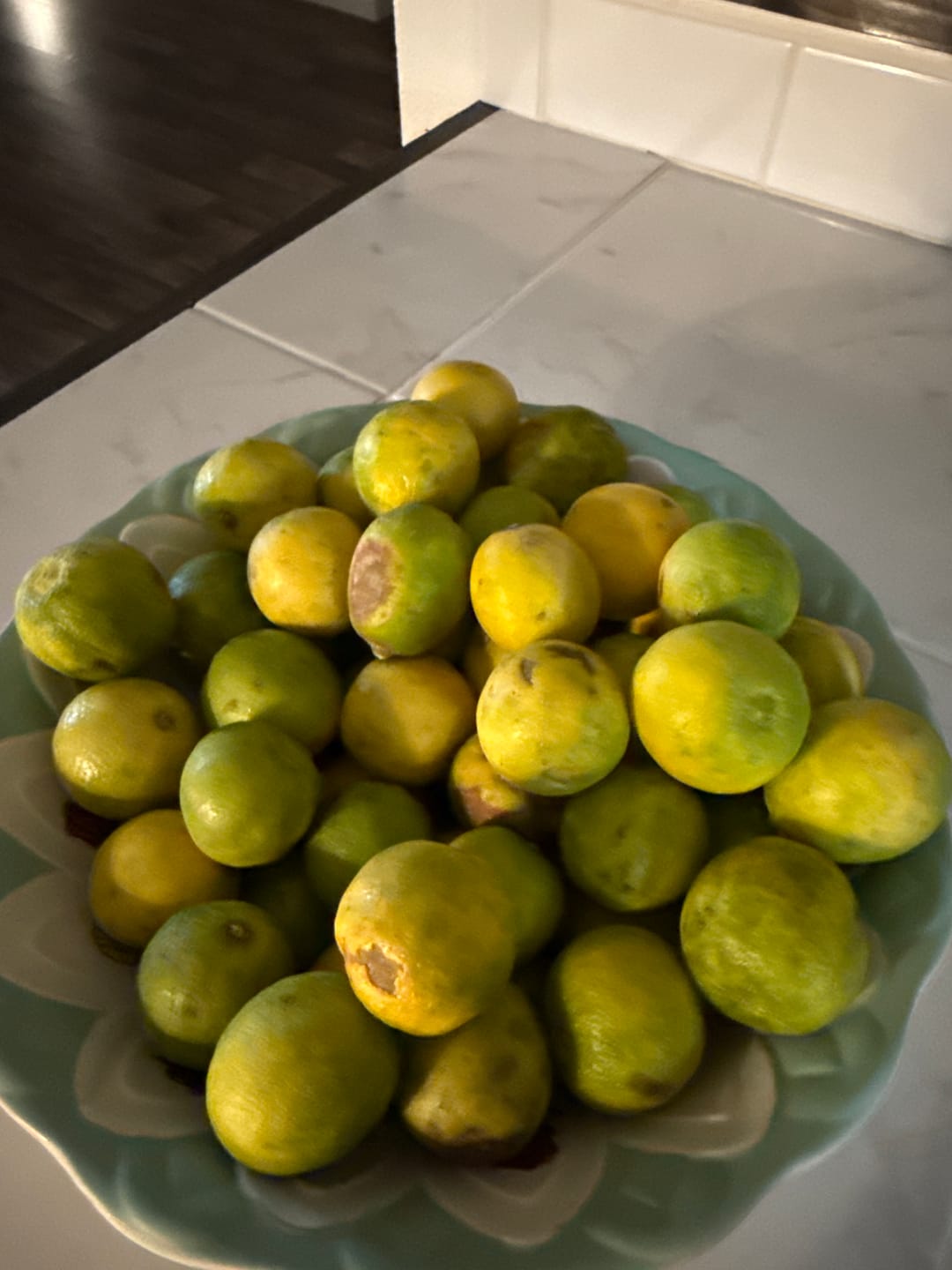 Customer photo review of Organic Key Limes 3 lbs