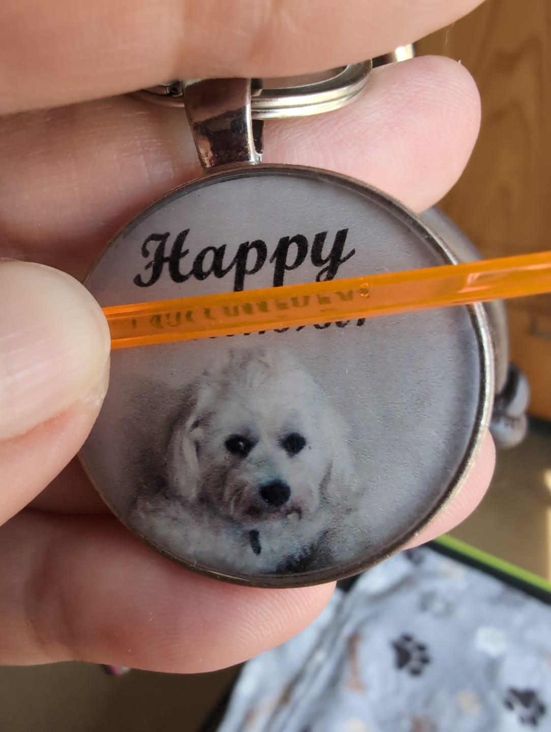 Customer photo review of Die exklusive Hundemarke Portrait (mit dem Foto deines Hundes)
