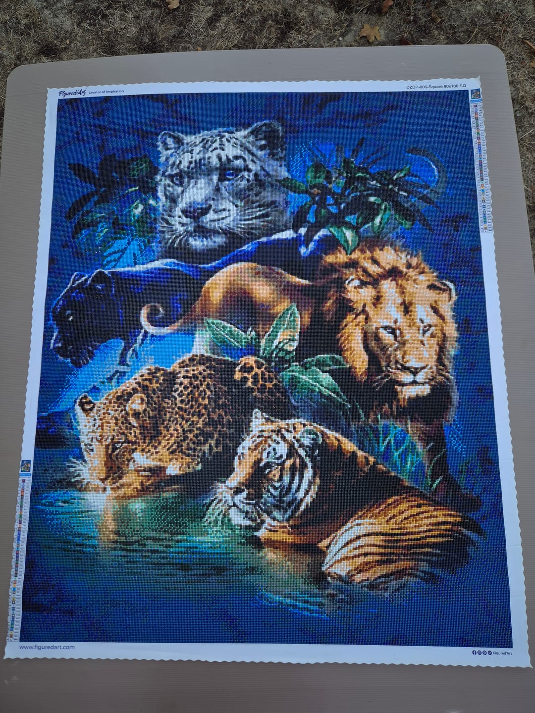Customer photo review of Broderie Diamant - Animaux de la Jungle