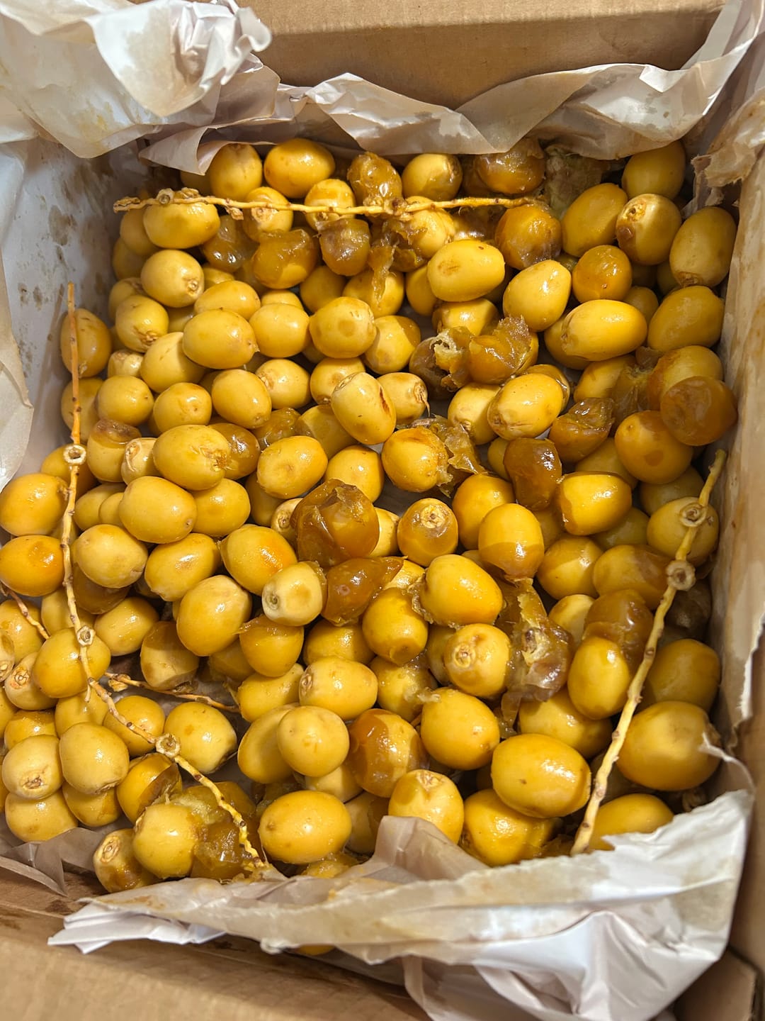 Customer photo review of Organic Yellow Barhi Dates (Khalal Barhi Dates)