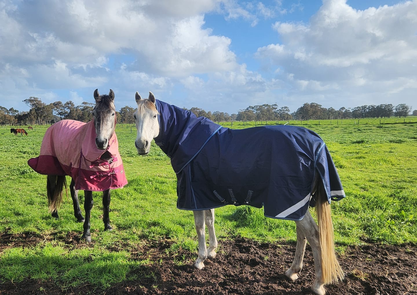 Customer photo review of LE Boxter Turnout Ripstop 200g
