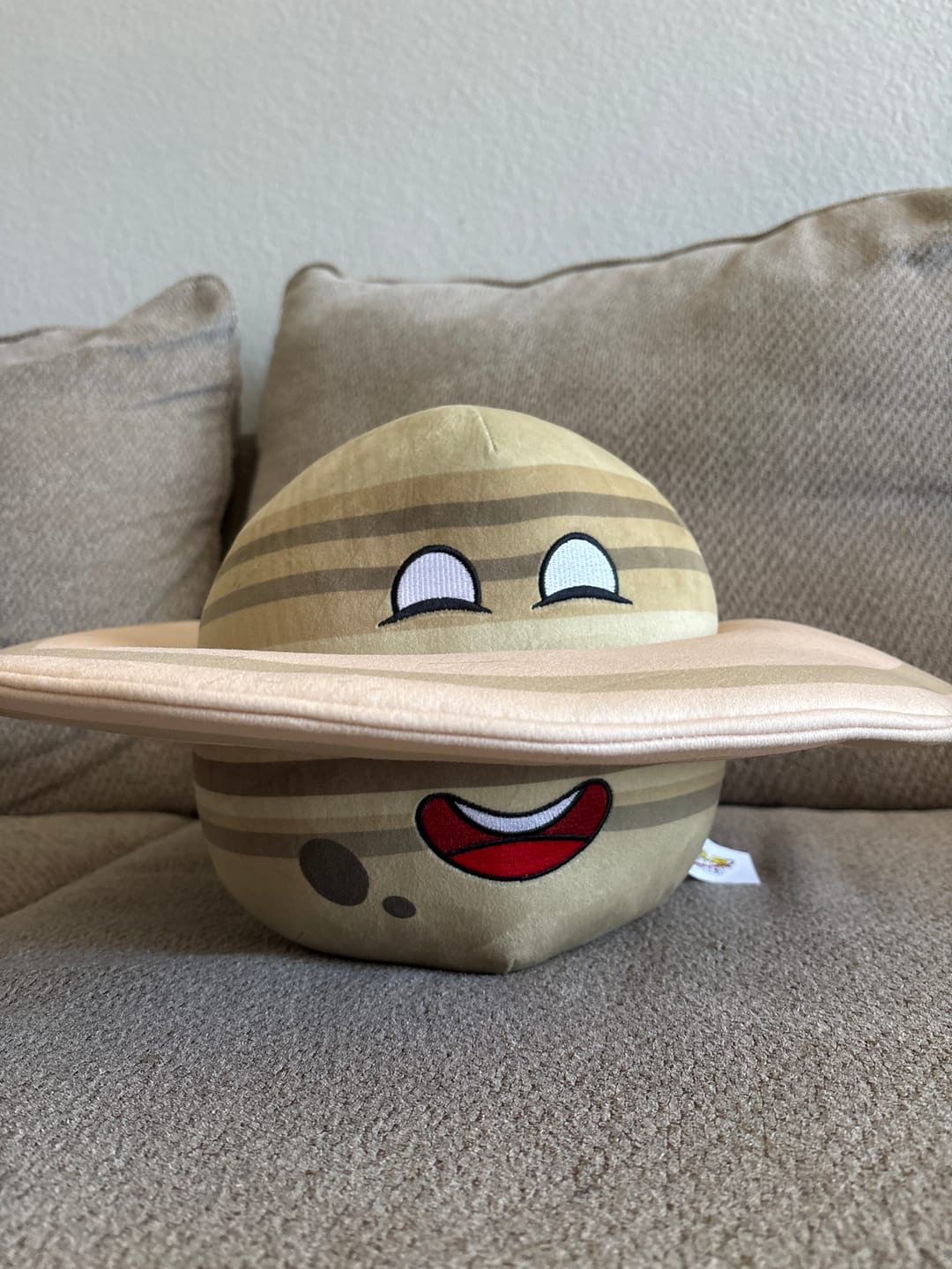 Customer photo review of The SolarBalls Saturn Plush