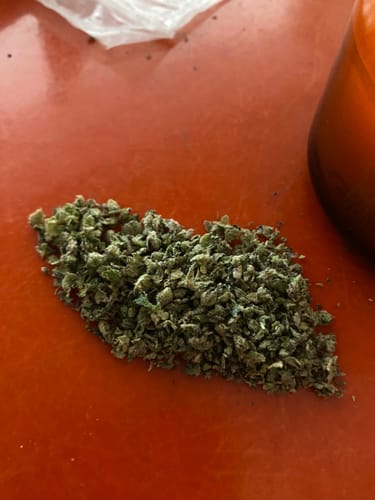 West West Brand - Gelato Cake - 14 Gramm - Hybrid photo review