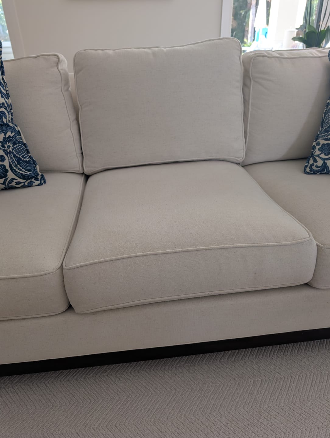 Customer photo review of Green Mitt Starter Kit