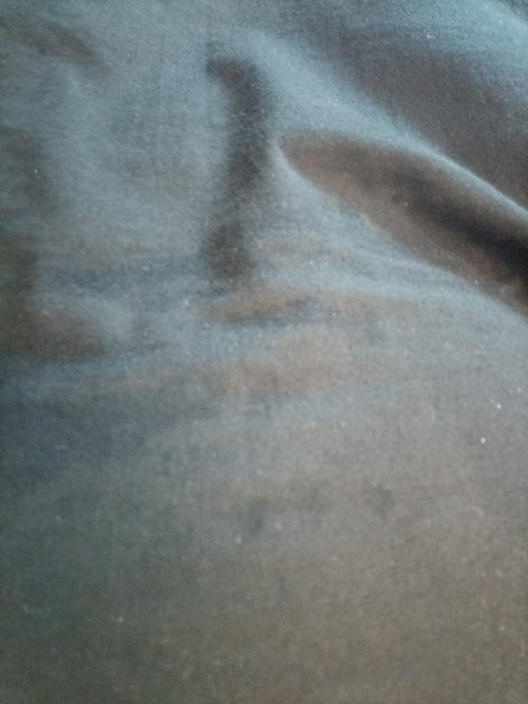 Customer photo review of Premium Tişört