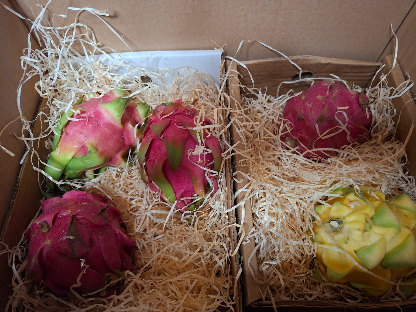Customer photo review of Drachenfrucht Mix Bio & wild Sonderaktion %
