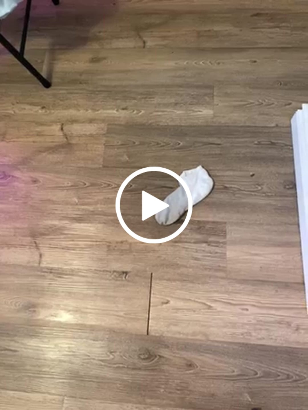 Customer video review of J.B. Field's Athletic "Bamboo Cushion" Low-Cut Ankle Socks