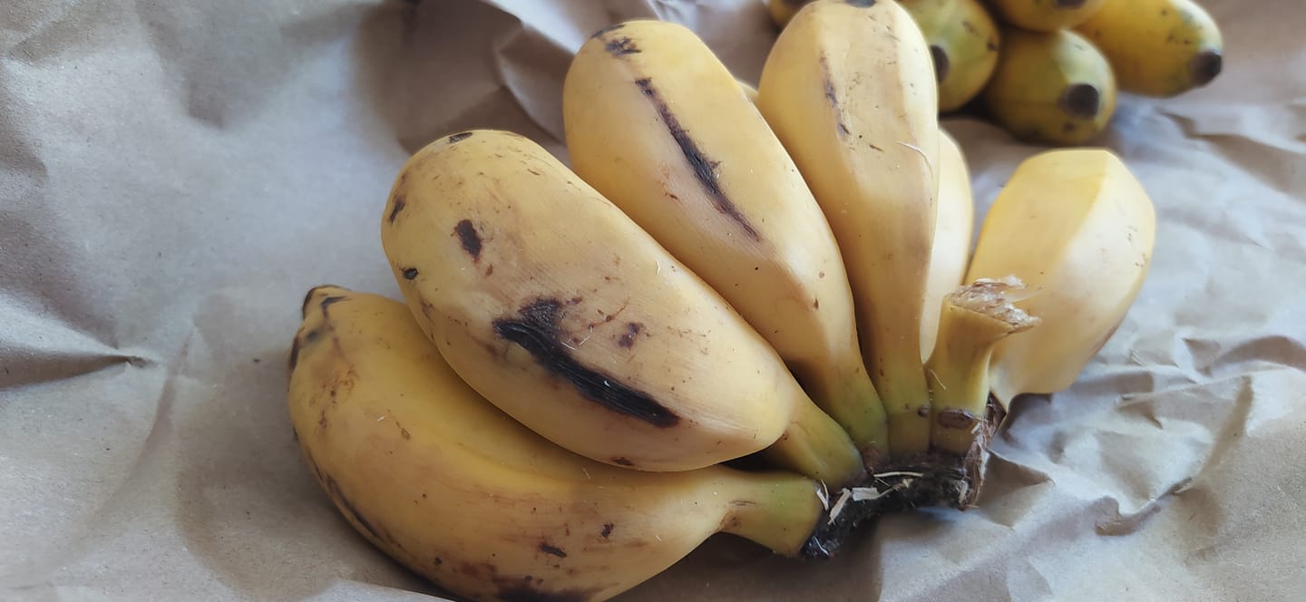 Customer photo review of Apfelbananen Bio & Fair Kipepeo
