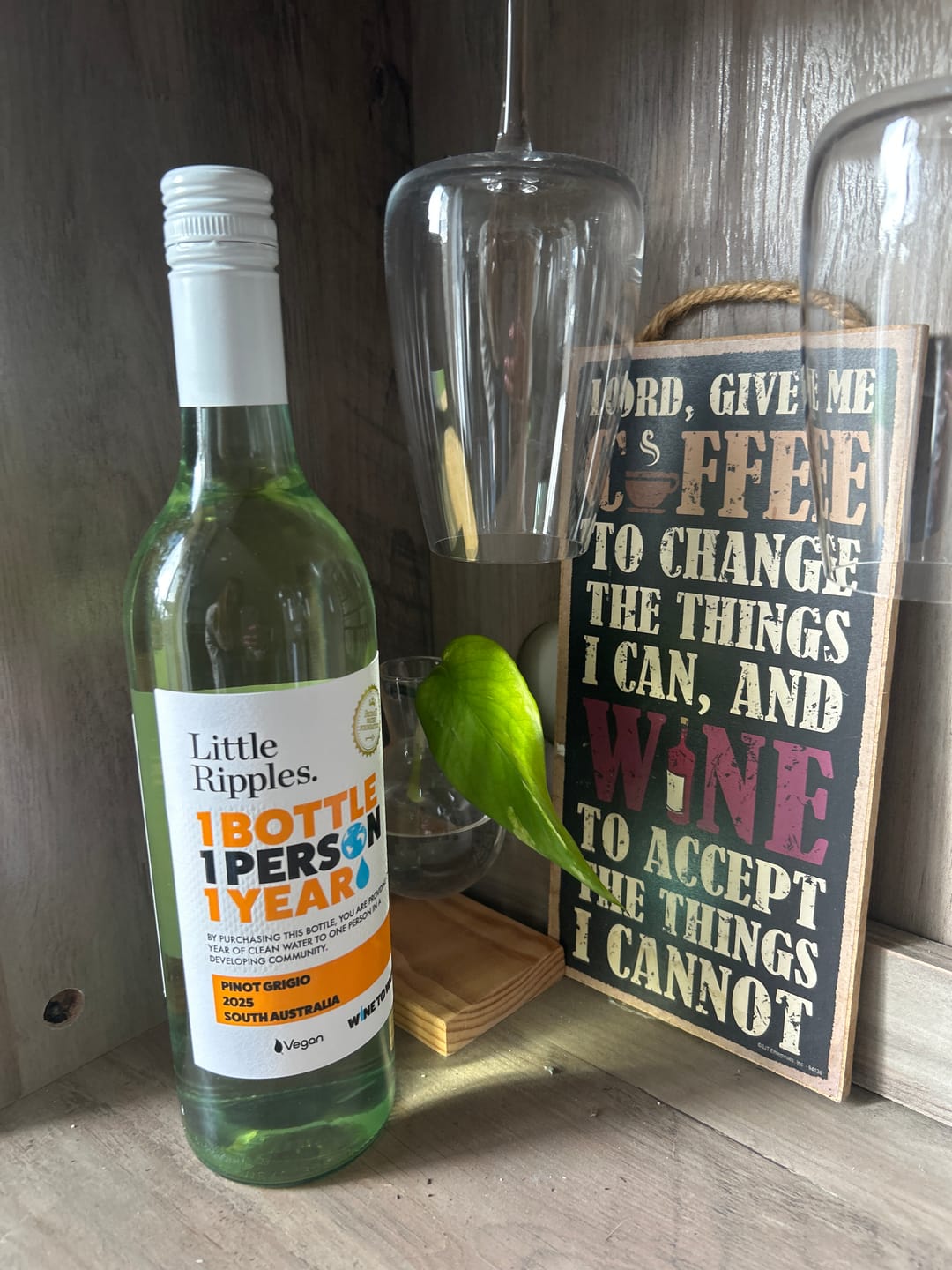 Customer photo review of Zero Sugar Pinot Grigio – Vegan Australian White Wine | Single Bottle