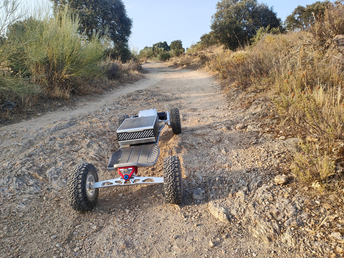 Customer photo review of Acedeck® Nyx Z5 Off-road Electric Skateboard-THE TOTAL OFF-ROAD WEAPON