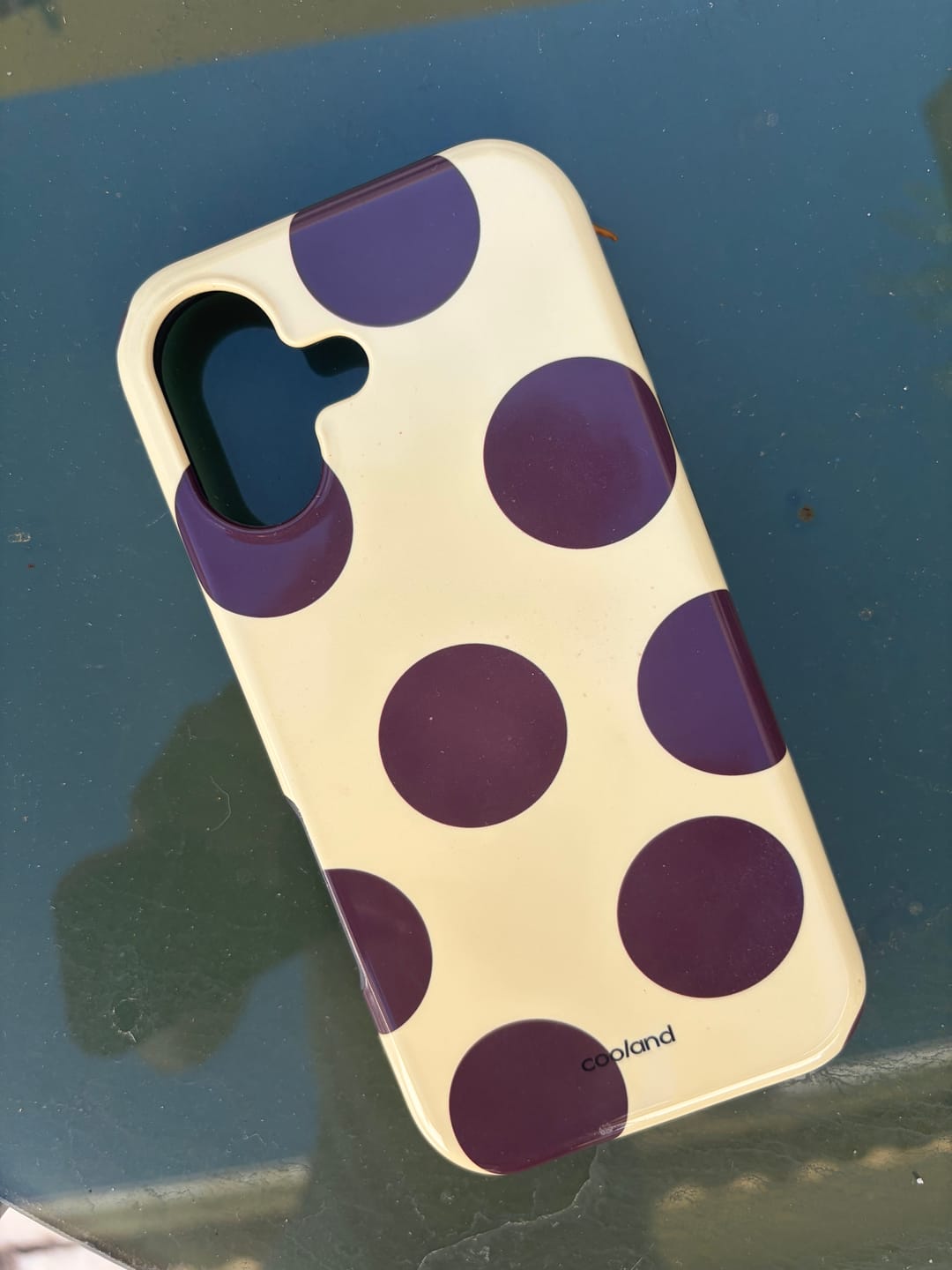 Customer photo review of Butter Dot