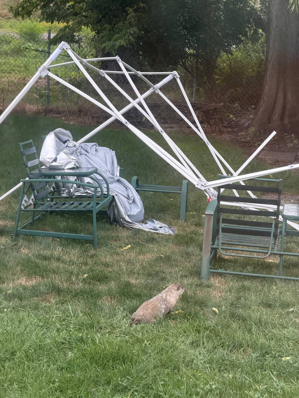 Customer photo review of Premium+ Series Heavy Duty Instant Canopy Tent - 10x10, 10x15, 10x20